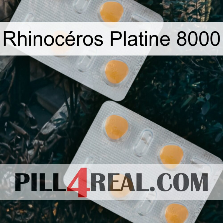 Rhinocéros Platine 8000 25